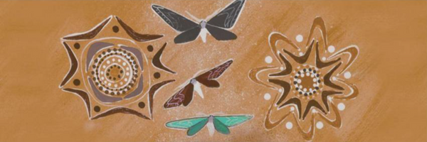 Diamantina Drones